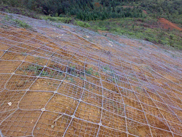 䓽zx(dng)o(h)W(wng)