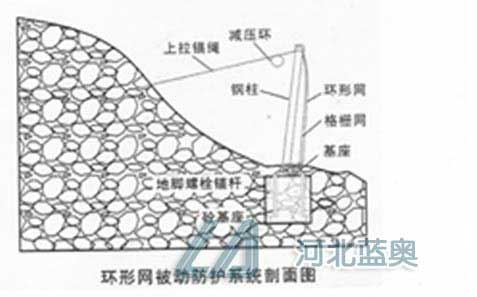 h(hun)α(dng)o(h)W(wng)bʾD