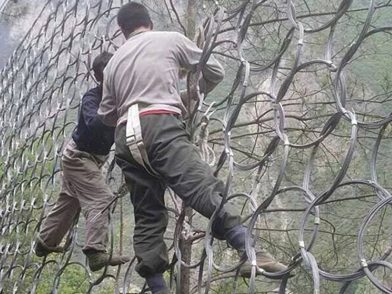 (ni)ɹˮӘsٹ·߅·o(h)